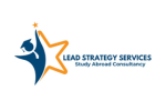 Lead-strategy-services